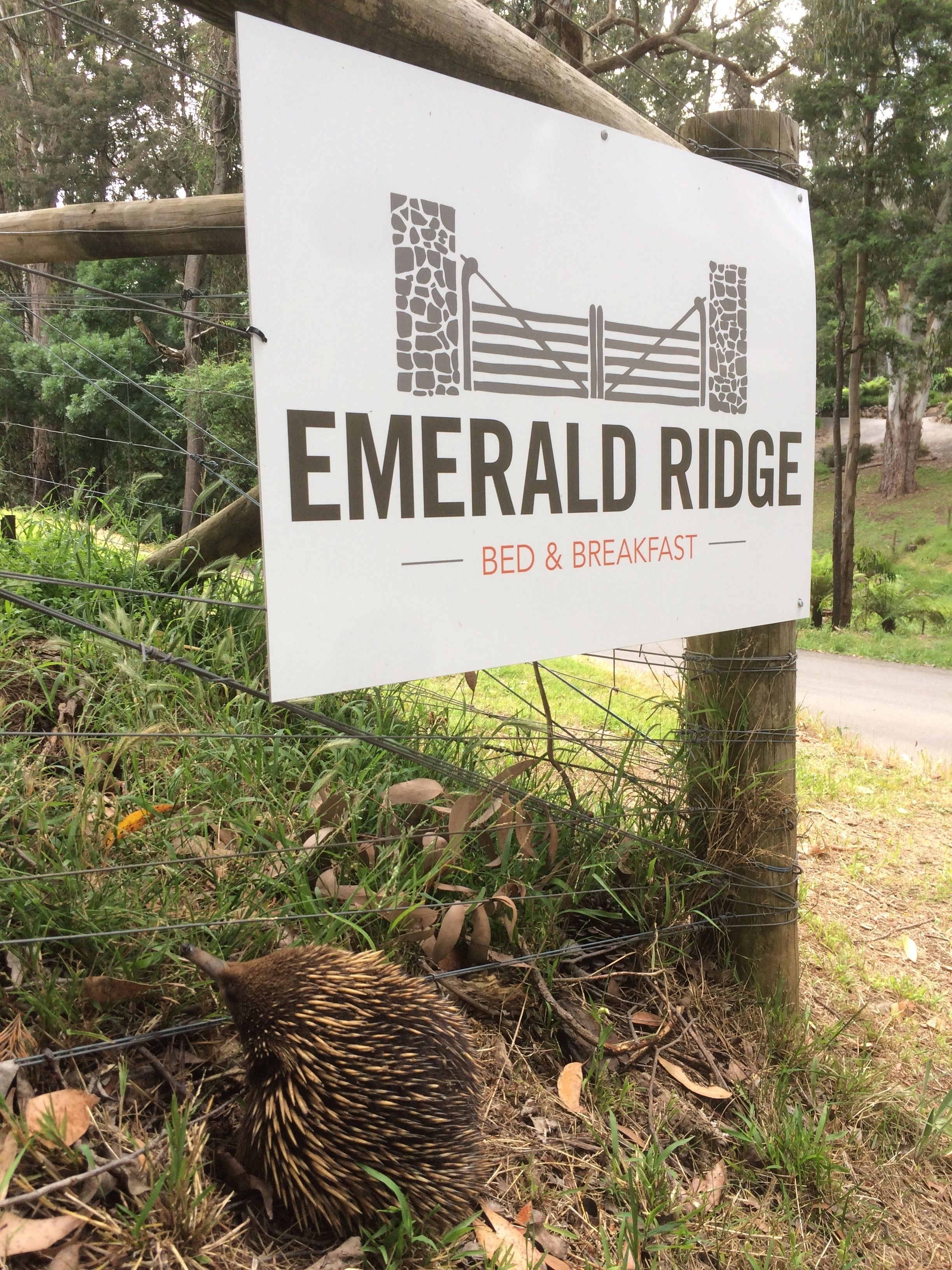Emerald Ridge Bed & Breakfast