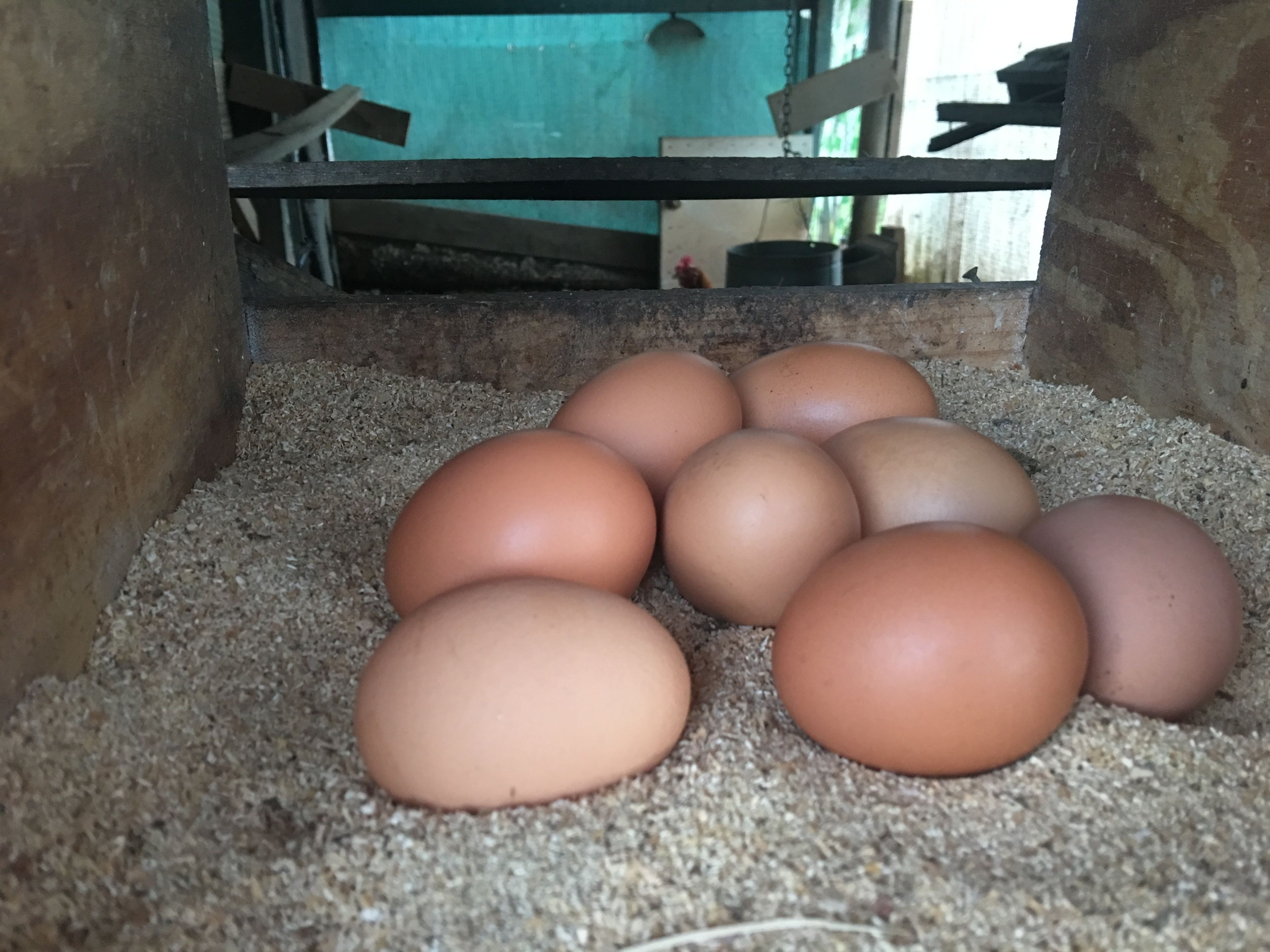 Emerald Ridge Bed & Breakfast