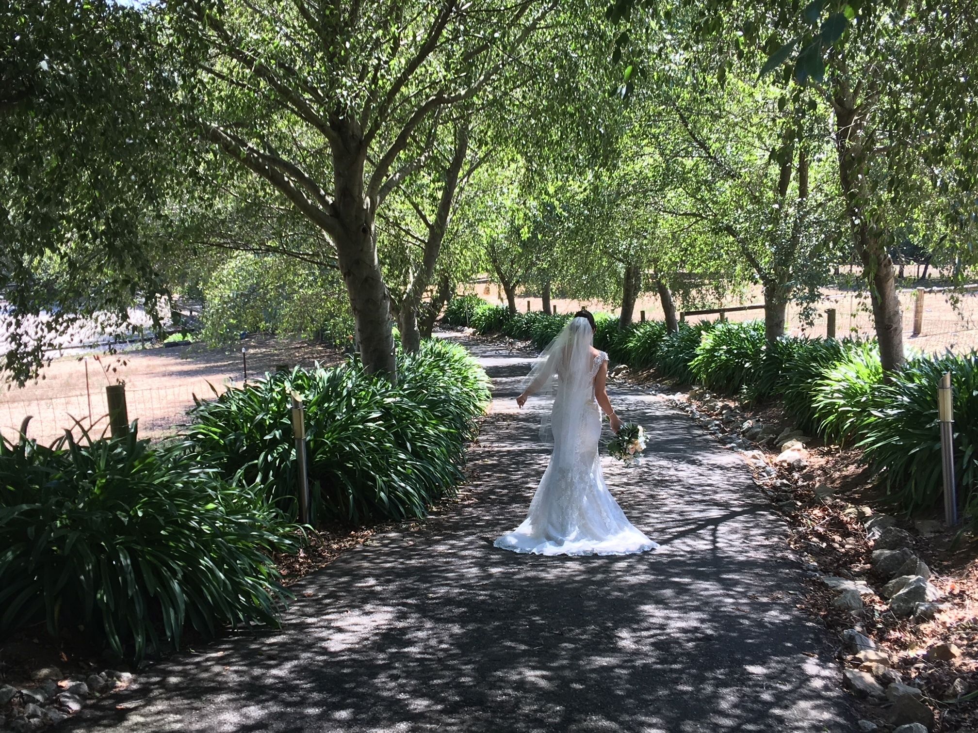 Emerald Ridge Bed & Breakfast