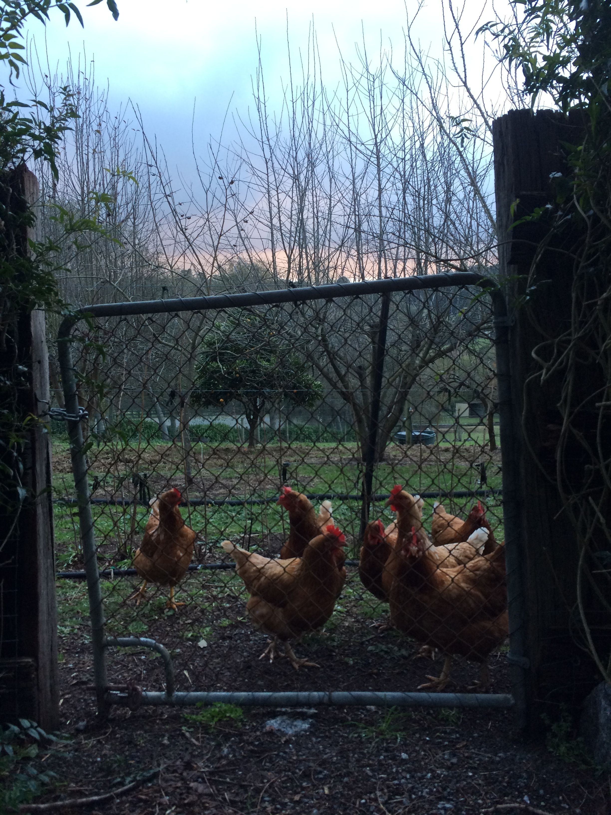 Emerald Ridge Bed & Breakfast