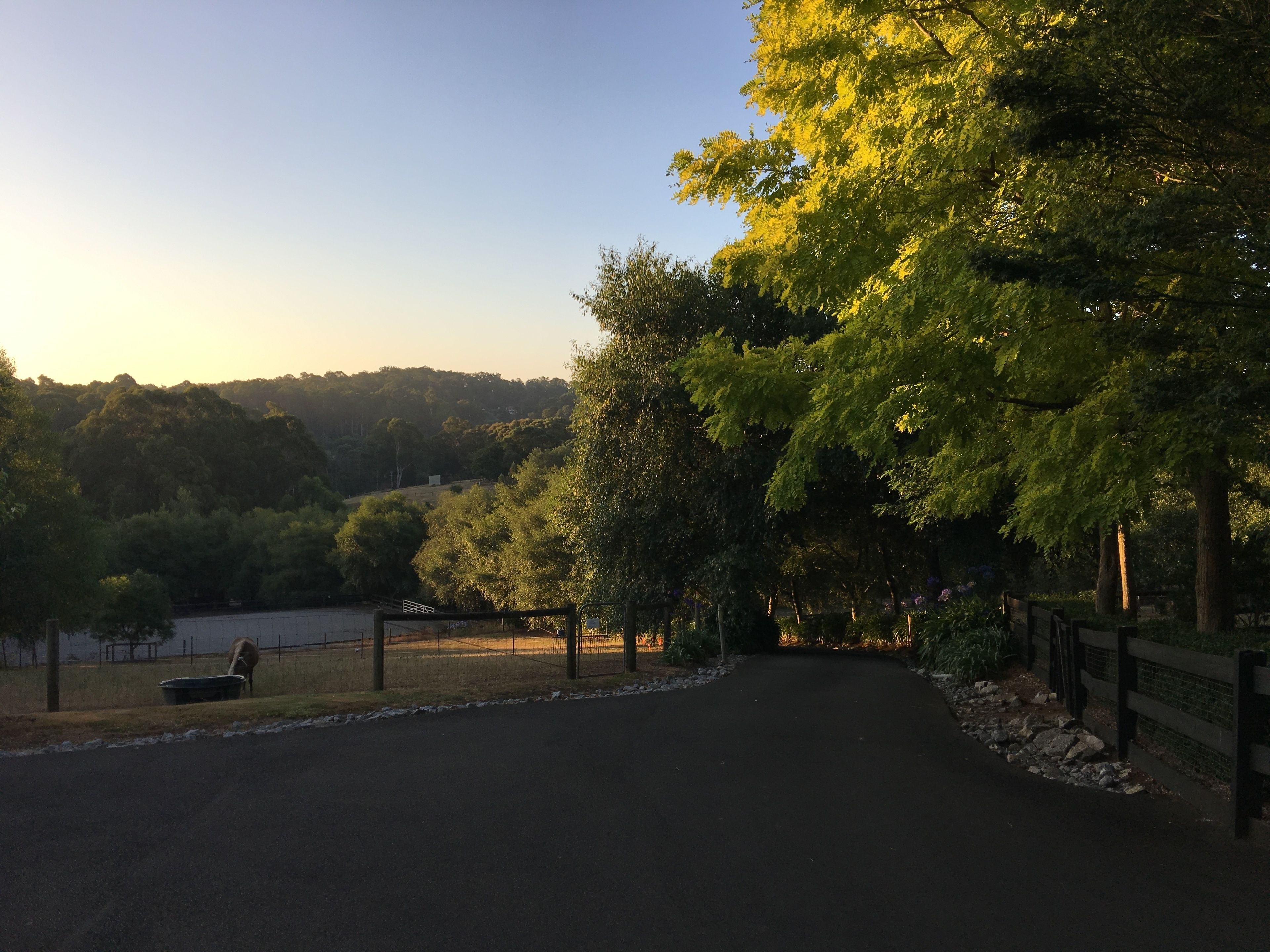 Emerald Ridge Bed & Breakfast