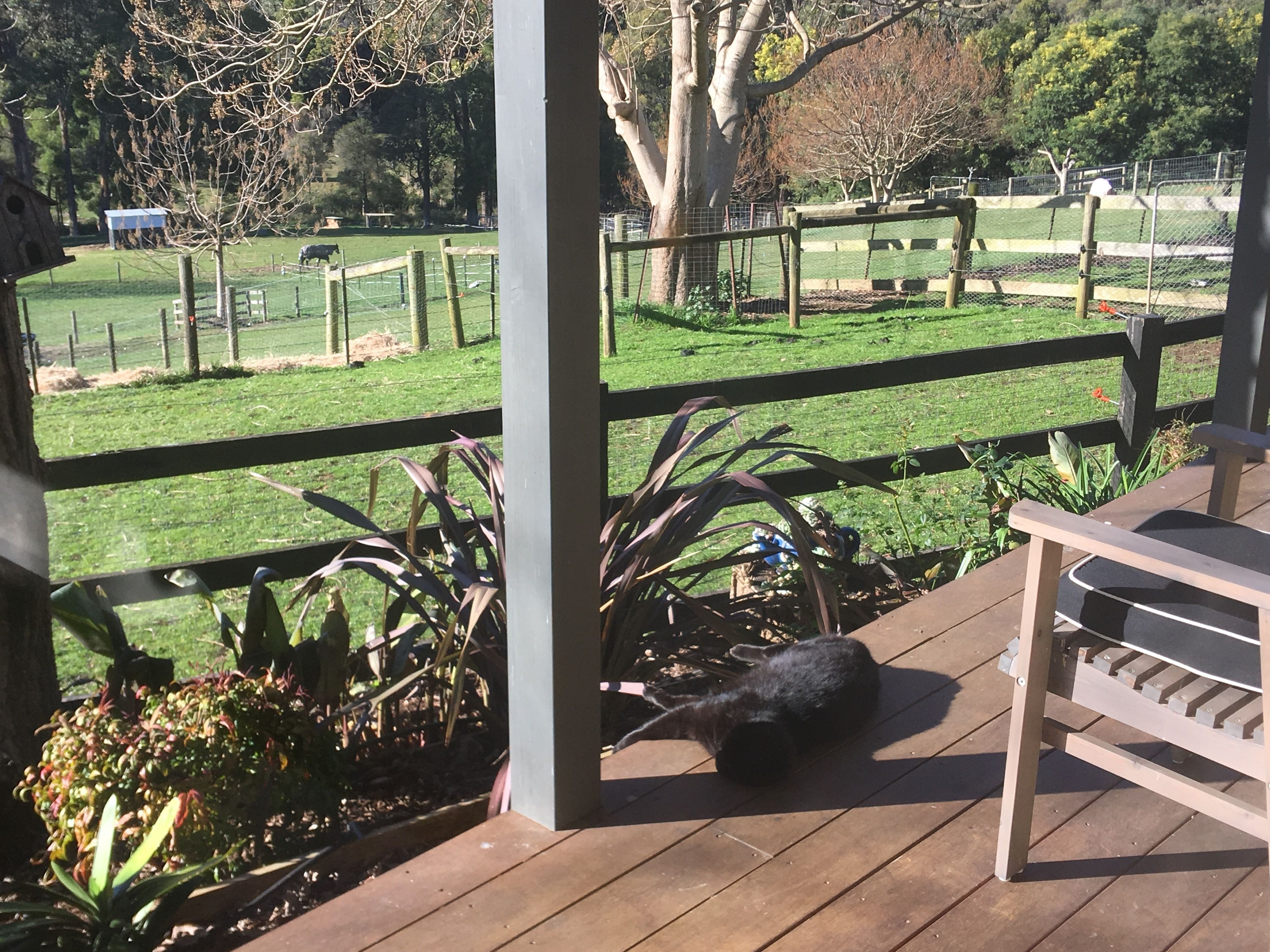 Emerald Ridge Bed & Breakfast