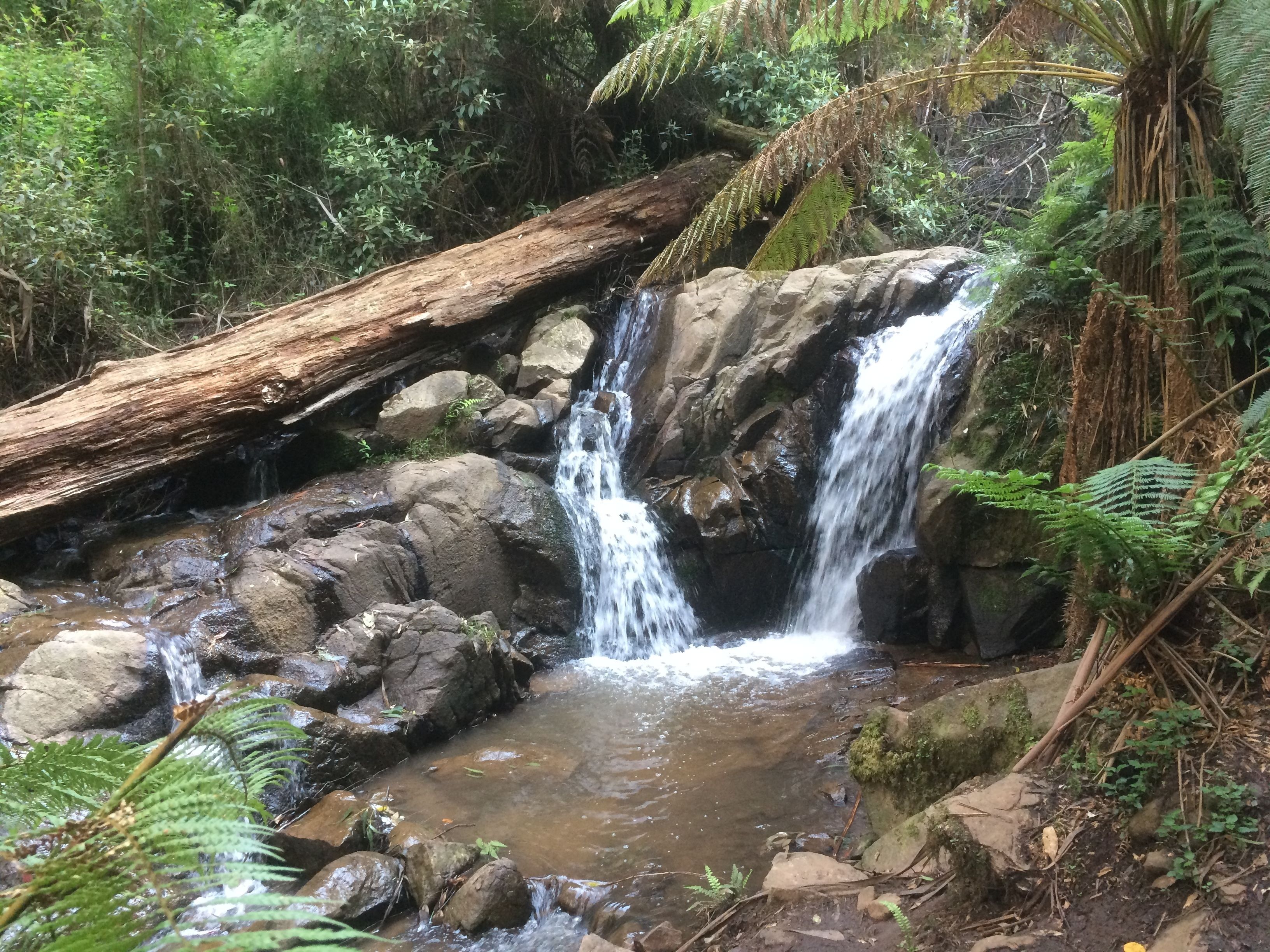 Emerald Ridge Bed & Breakfast