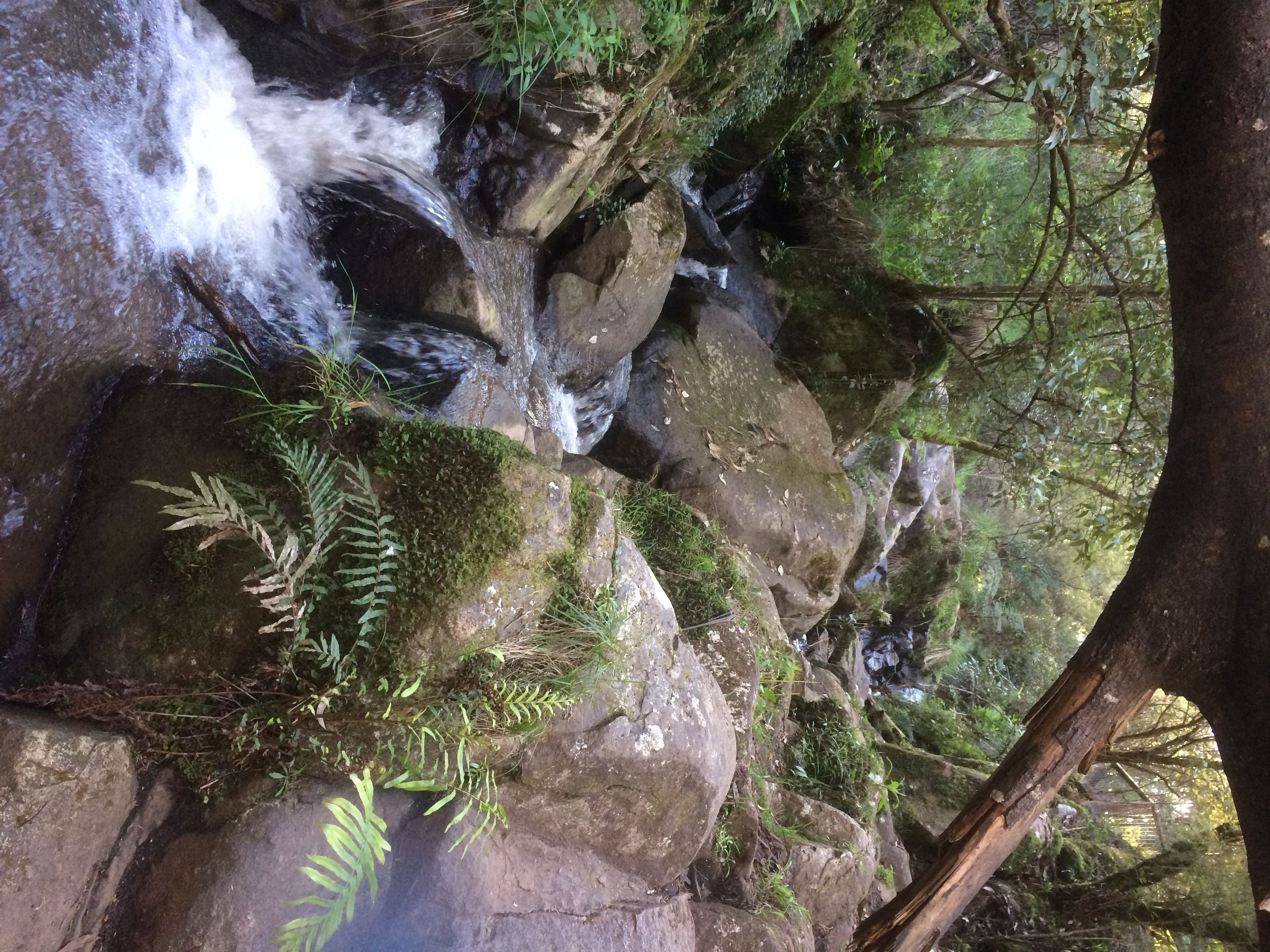 Emerald Ridge Bed & Breakfast