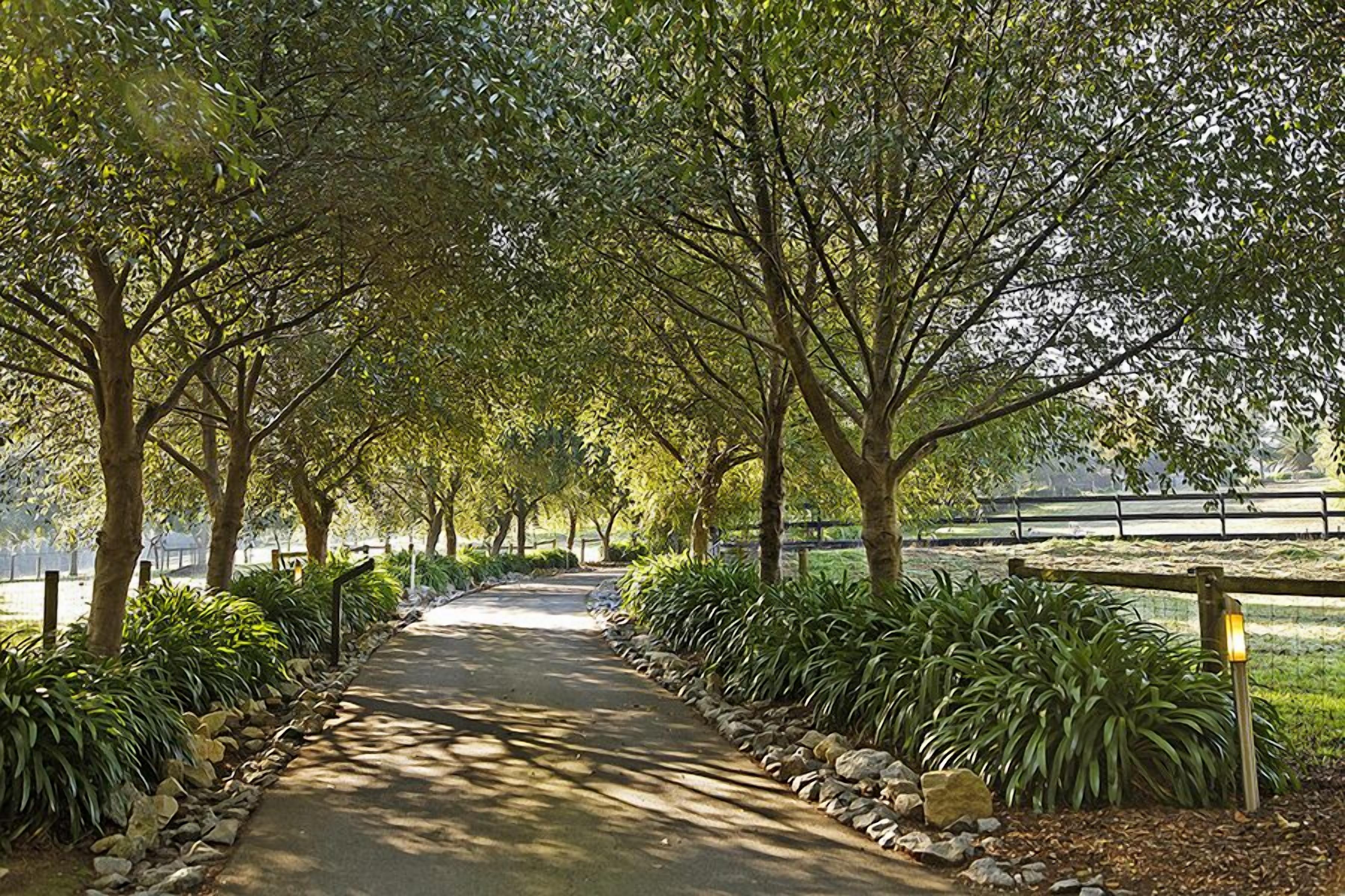 Emerald Ridge Bed & Breakfast