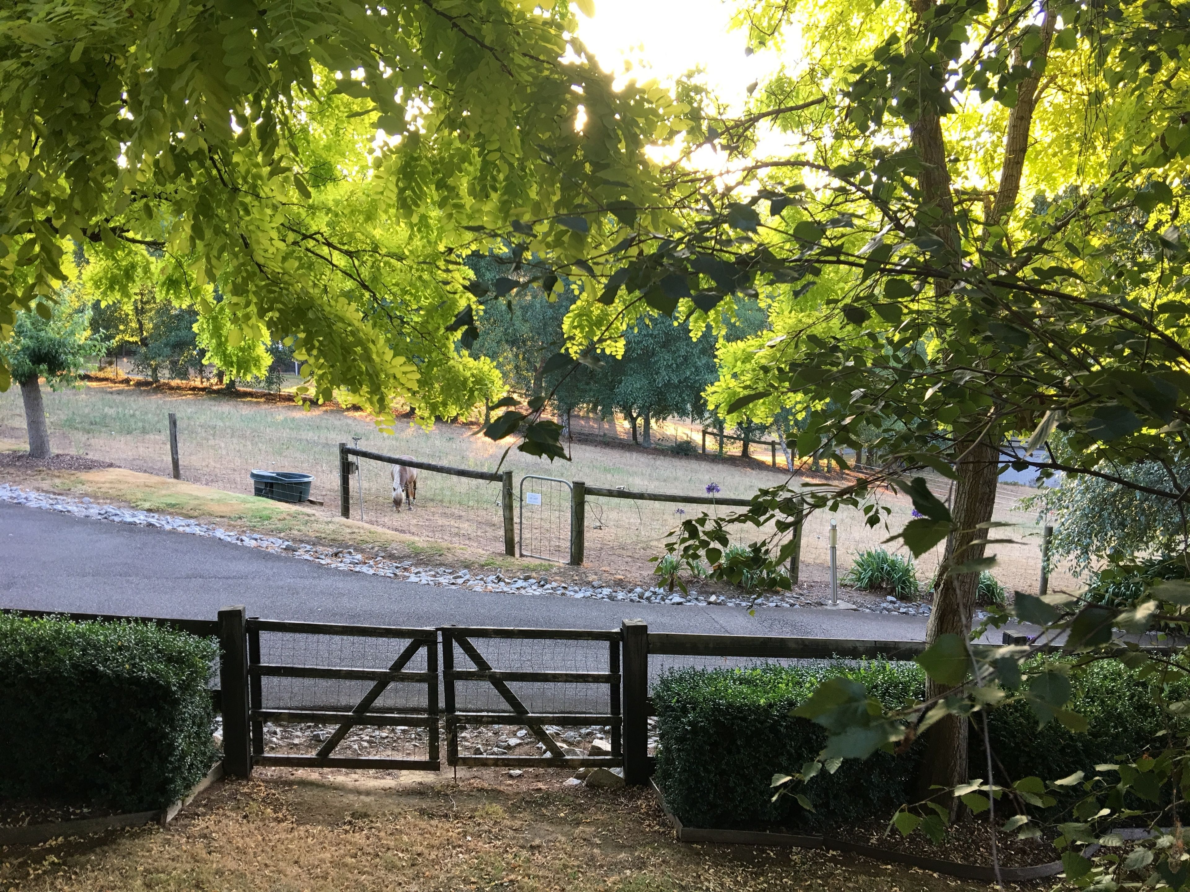 Emerald Ridge Bed & Breakfast