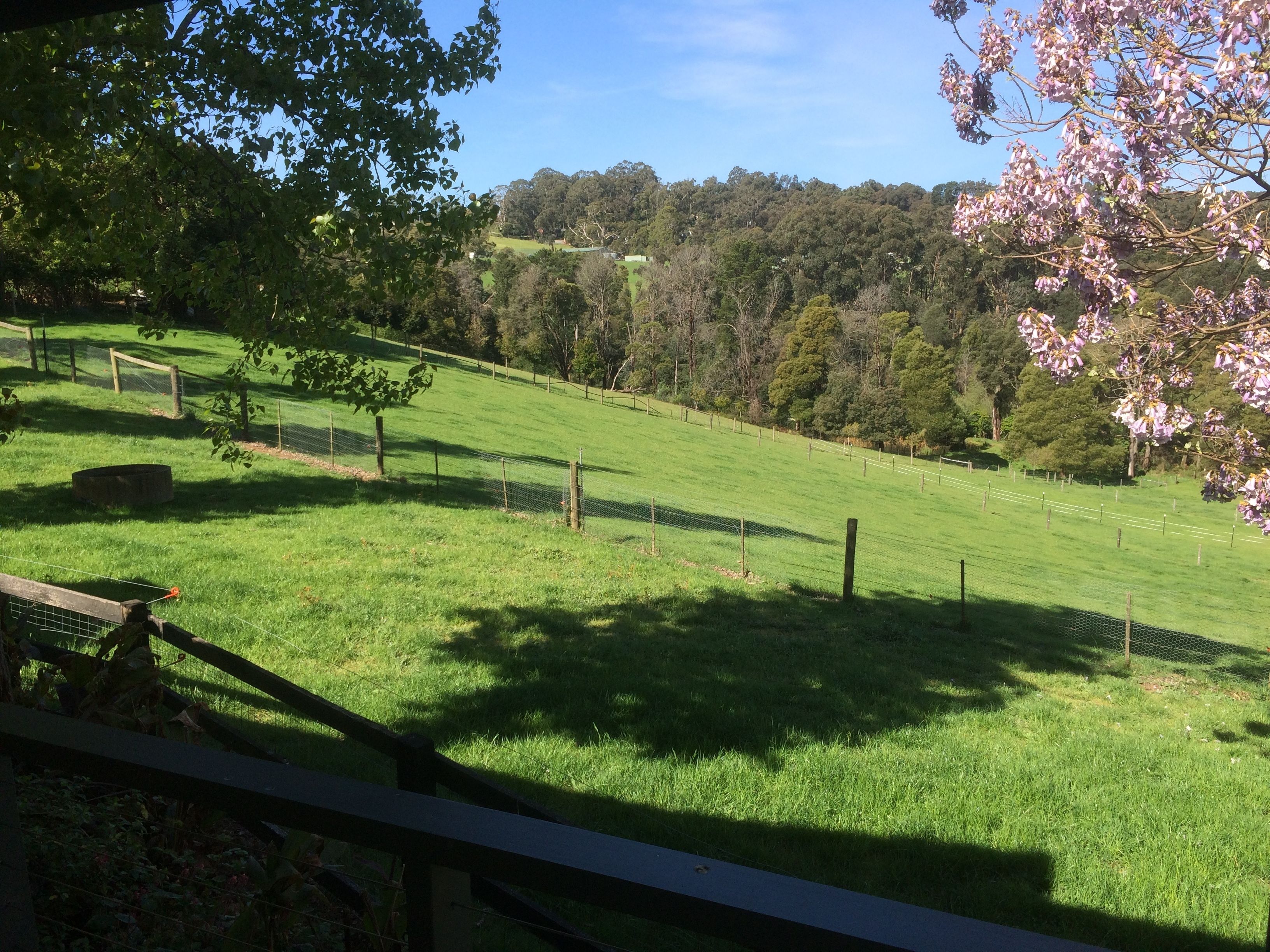 Emerald Ridge Bed & Breakfast