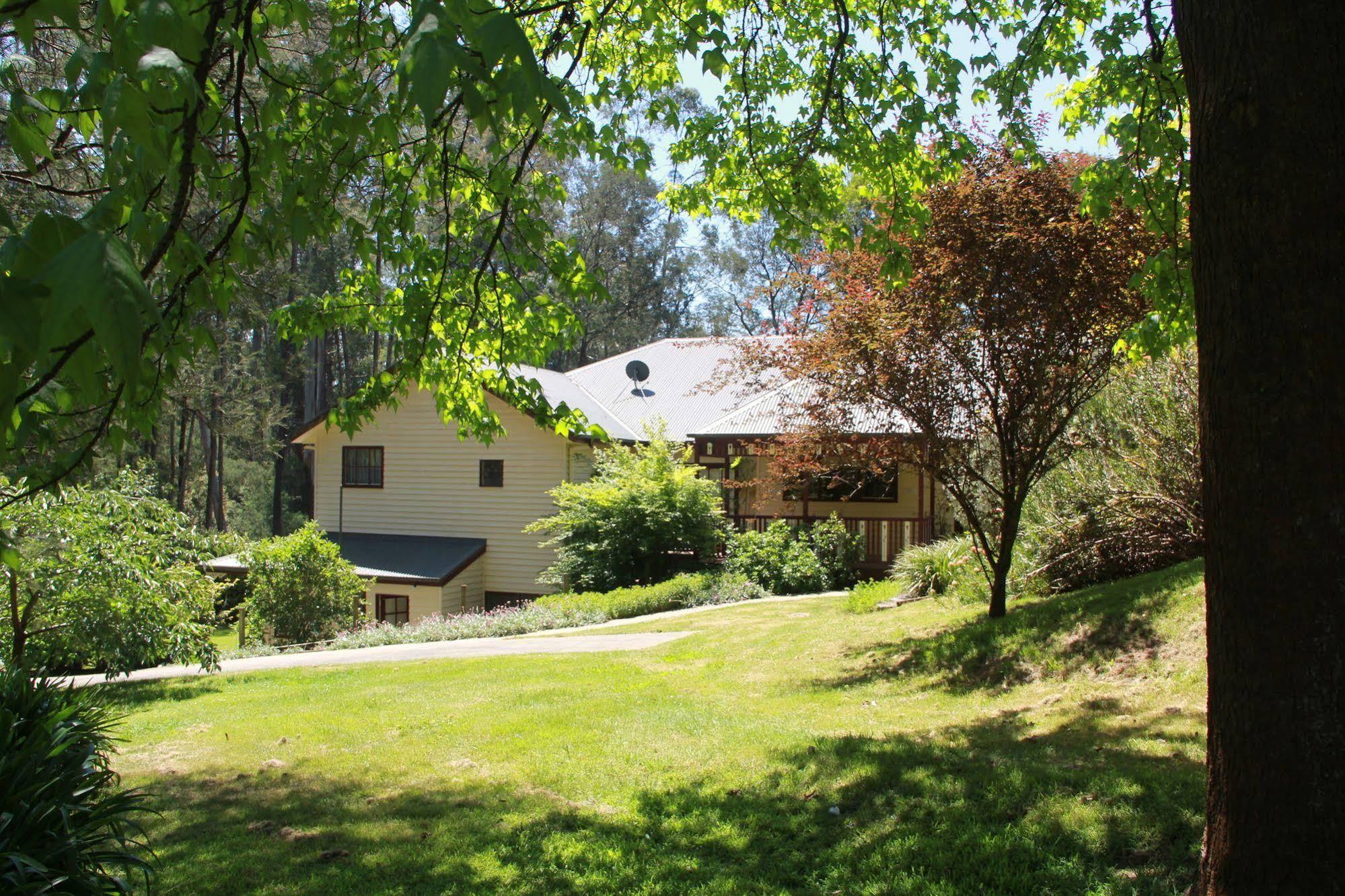 Fernglade on Menzies