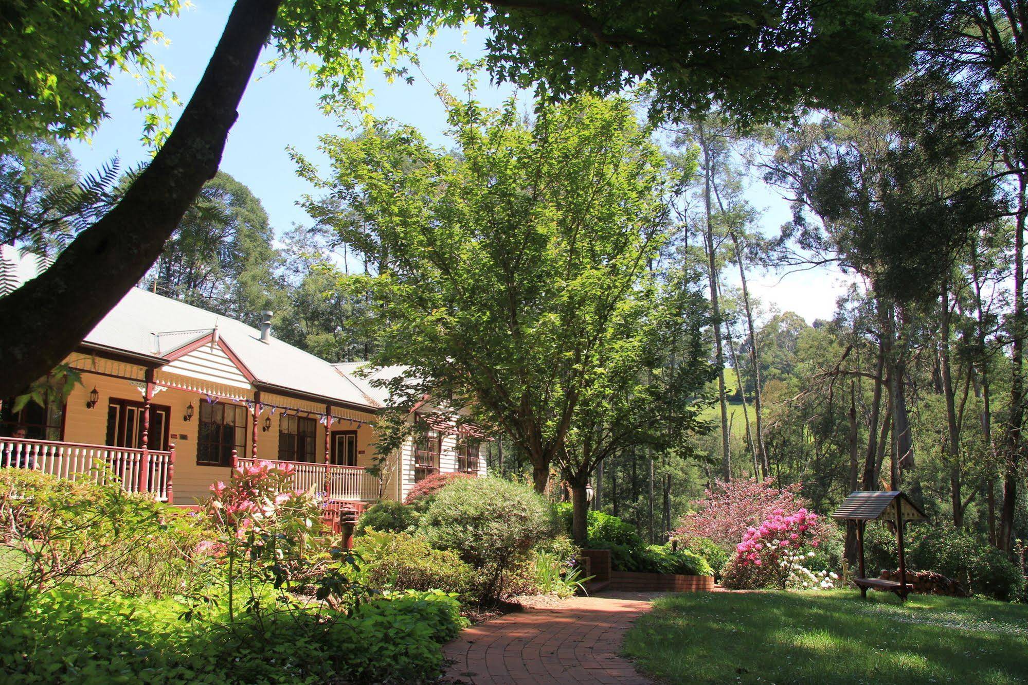 Fernglade on Menzies