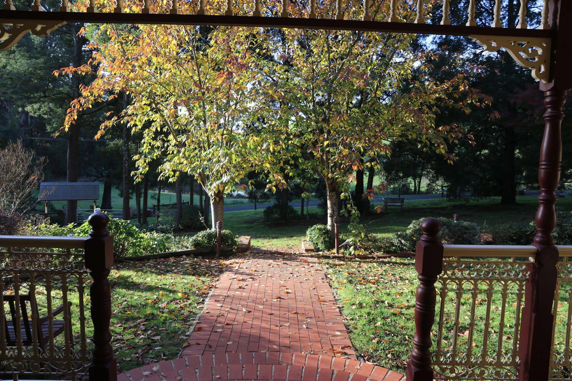 Fernglade on Menzies