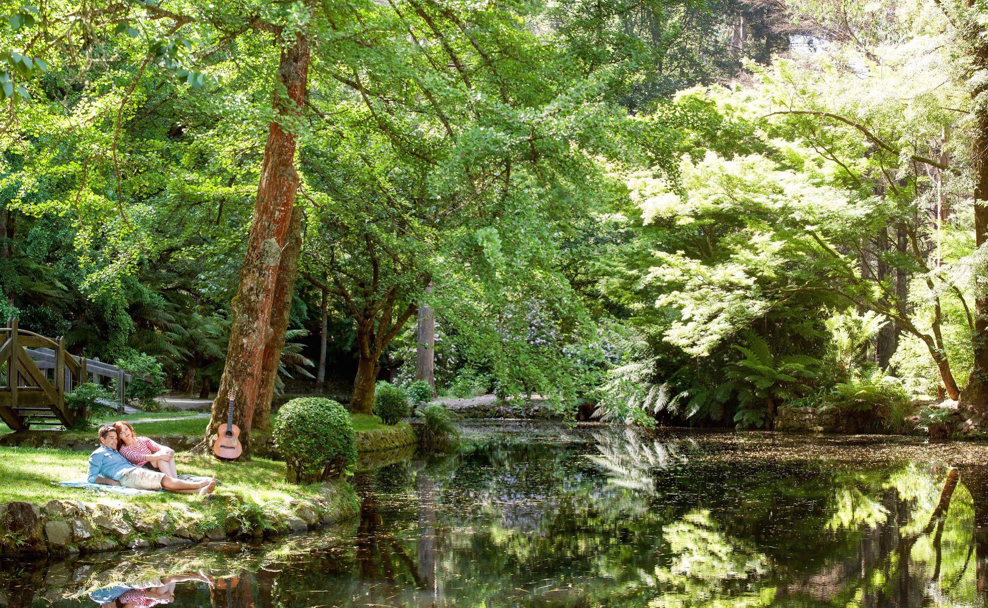 Mountain Element Retreats