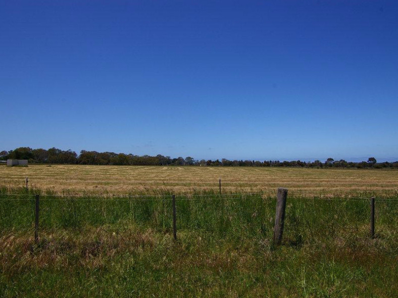 Doro Tourist Farm
