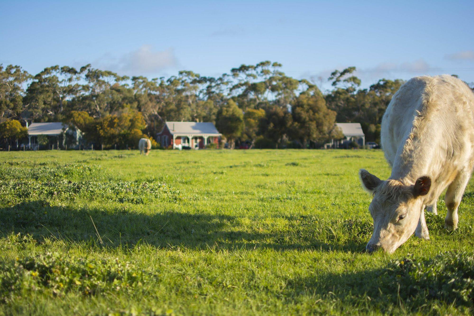 Freshwater Creek Cottages
