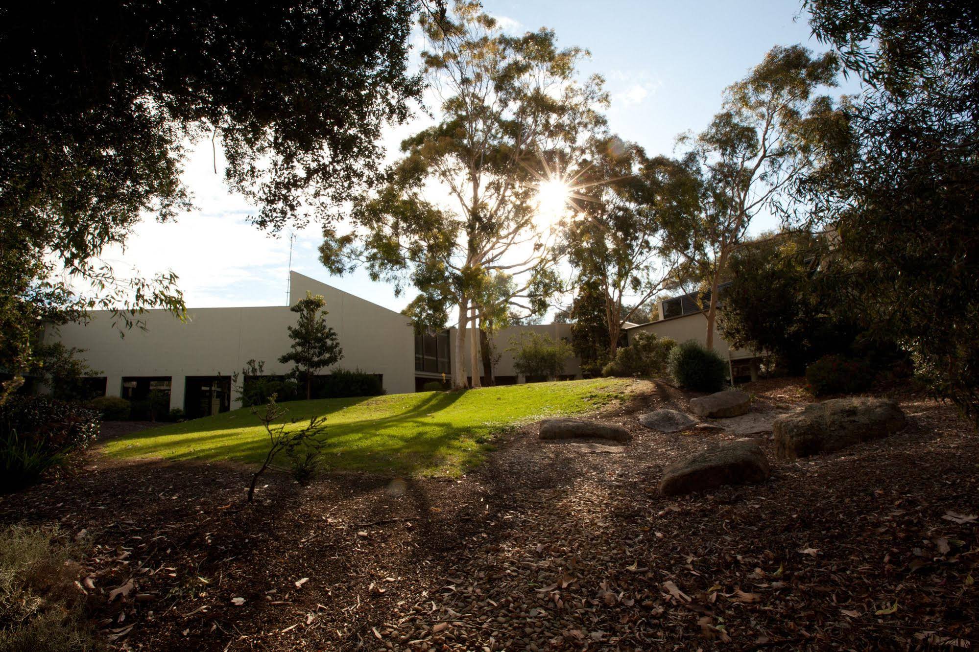 Eden Oak Geelong