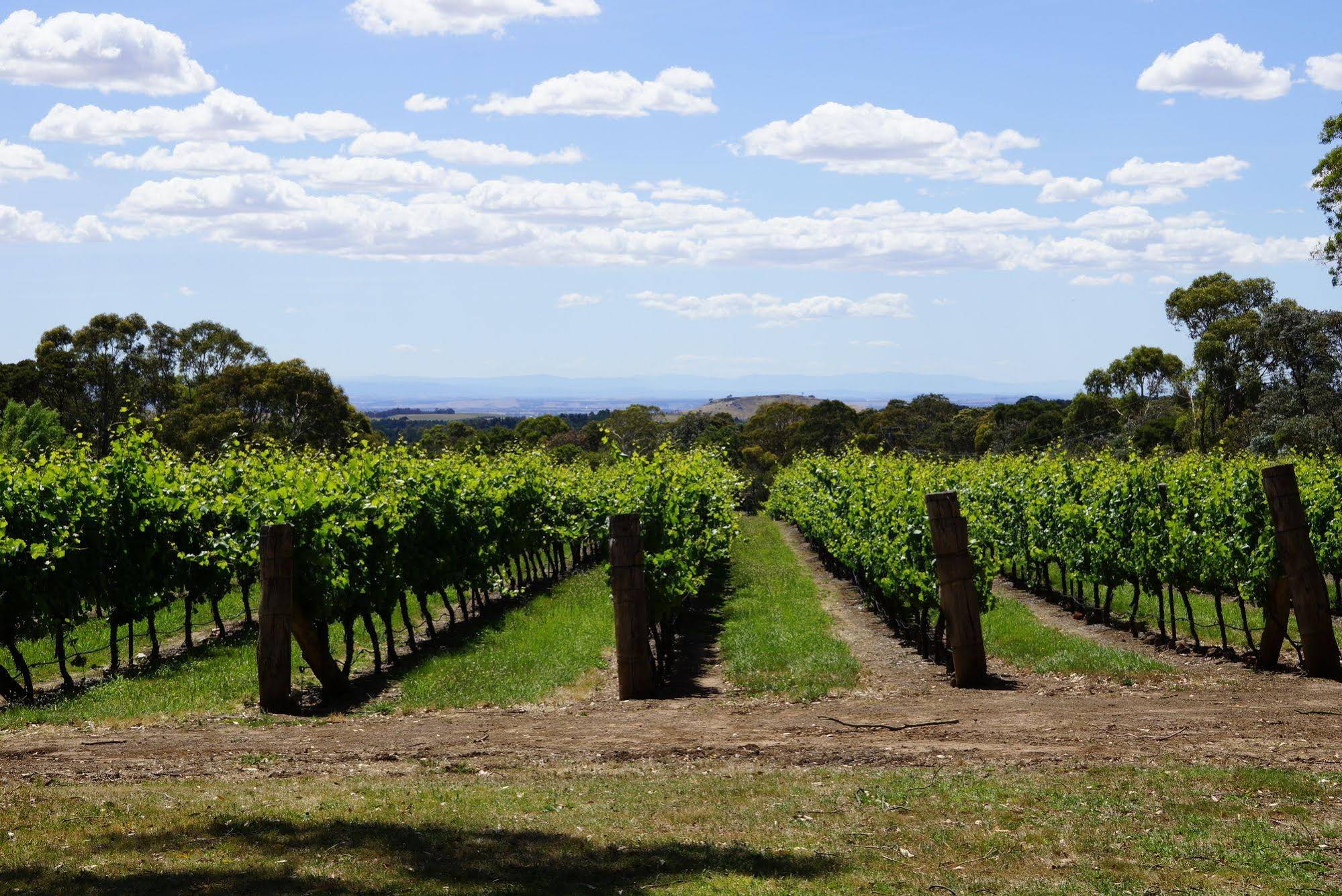 Gisborne Peak Winery Eco-Cottages