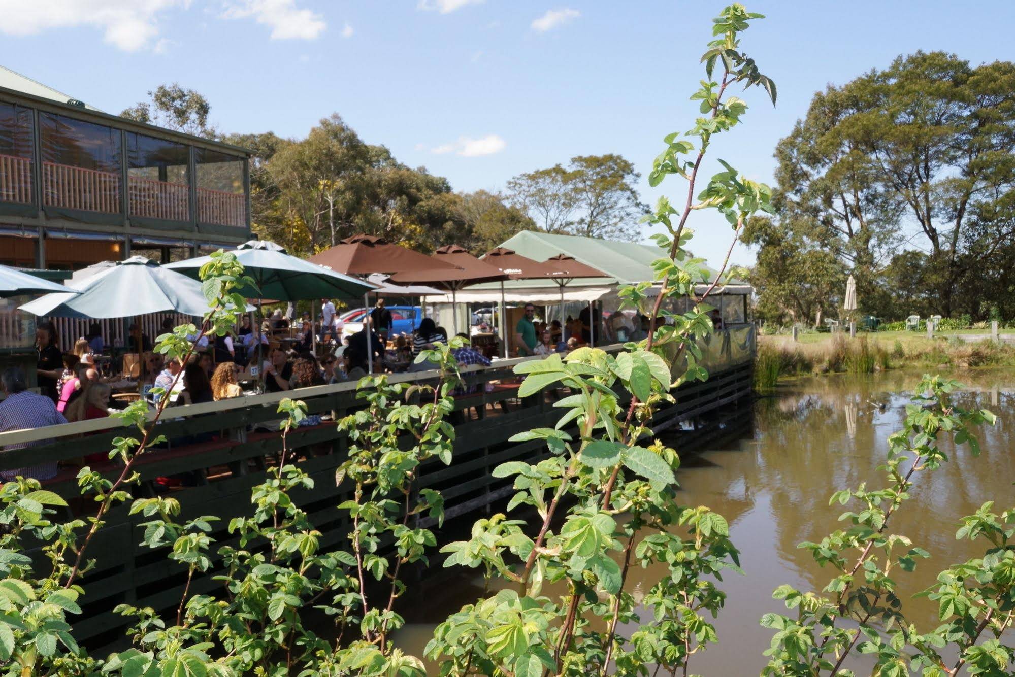 Gisborne Peak Winery Eco-Cottages