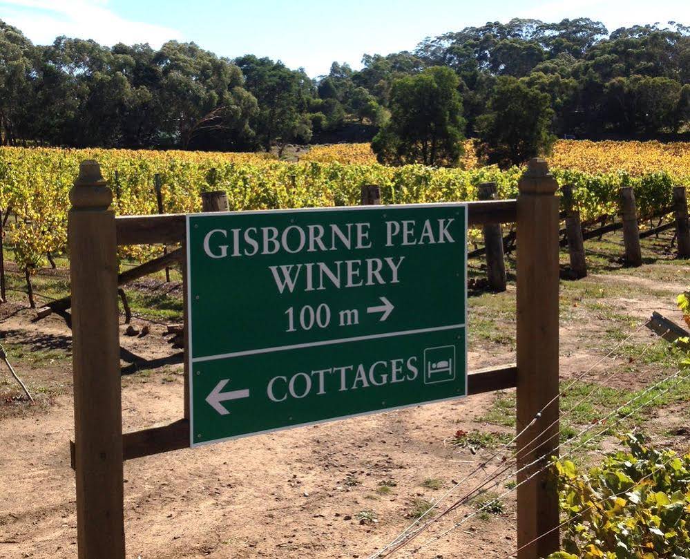 Gisborne Peak Winery Eco-Cottages