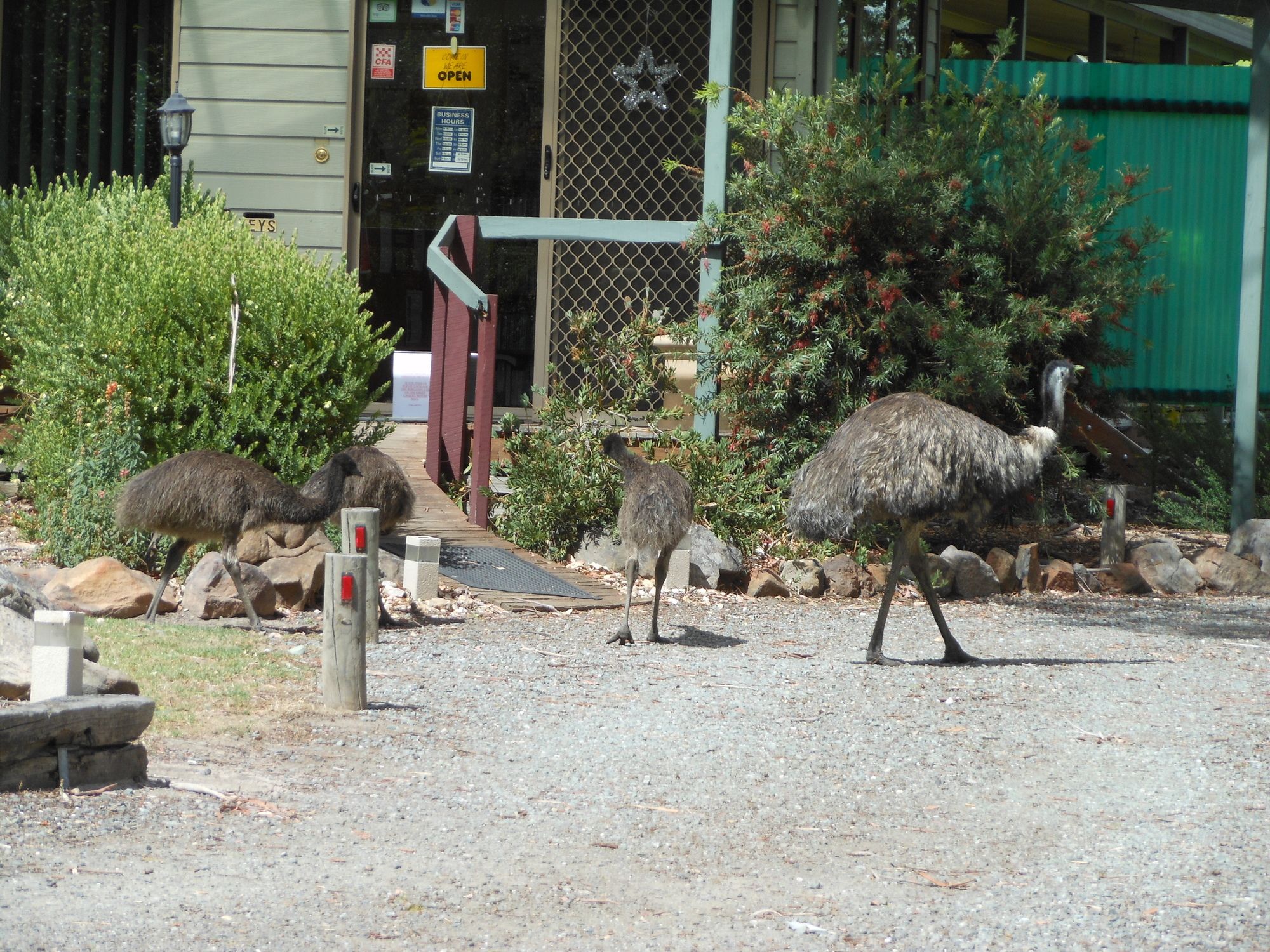 Grampians View Cottages and Units