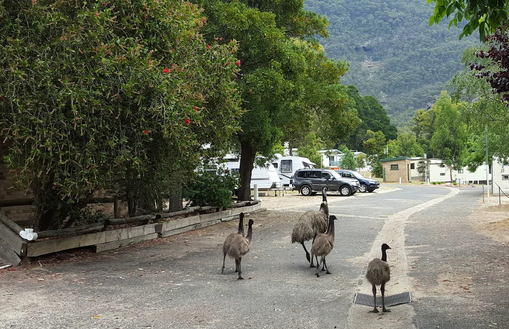 Halls Gap Caravan Park