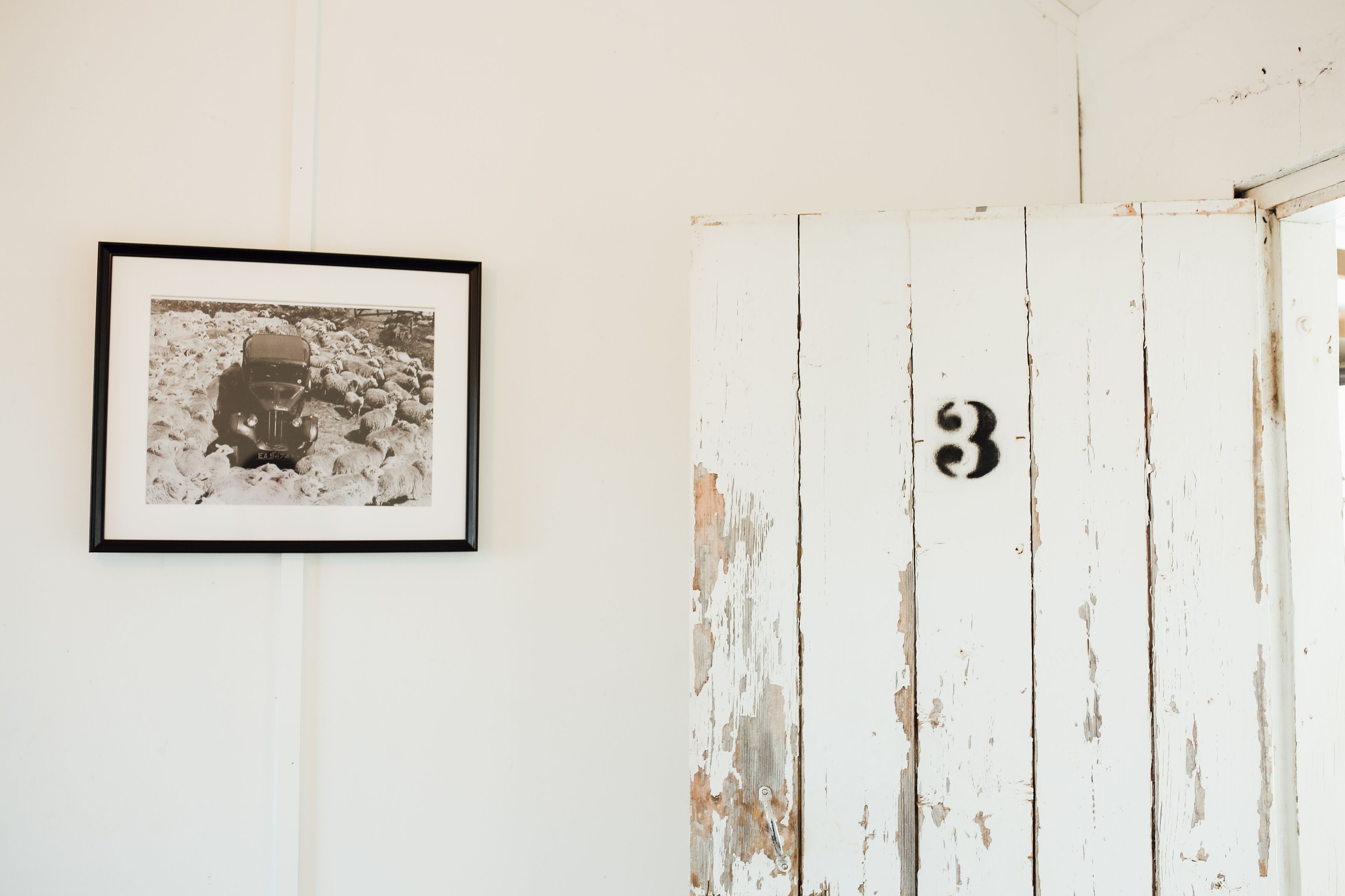 Mount William Station