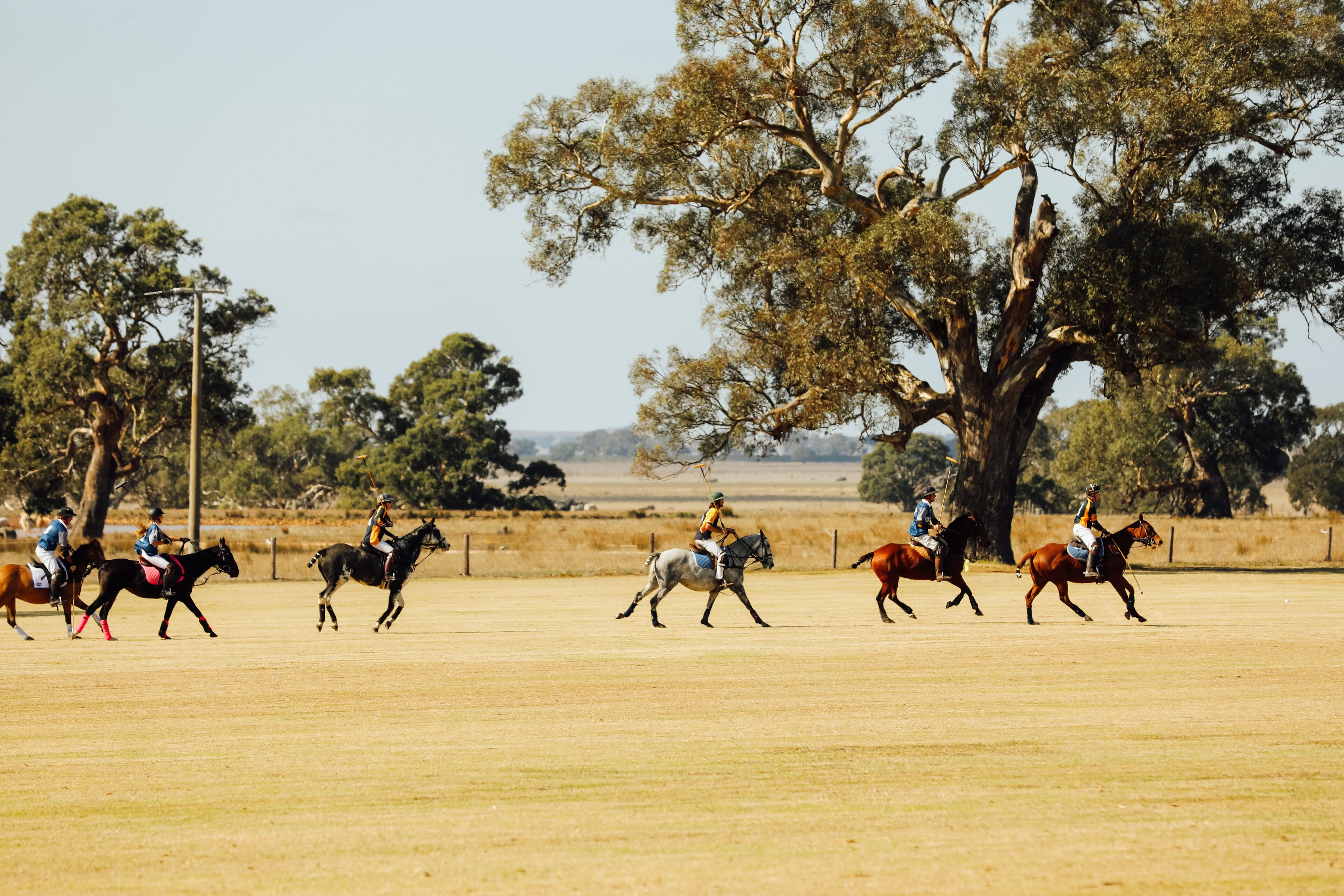 Mount William Station