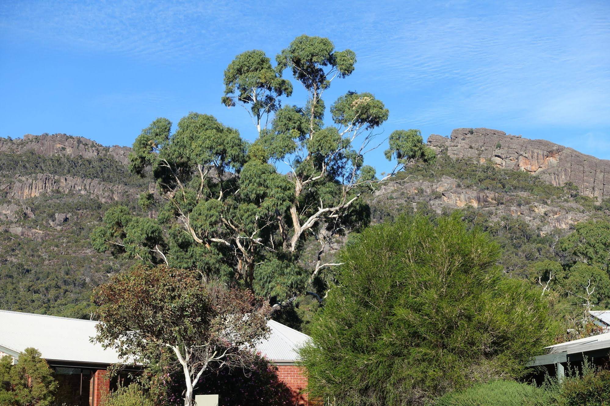 Pinnacle Holiday Lodge