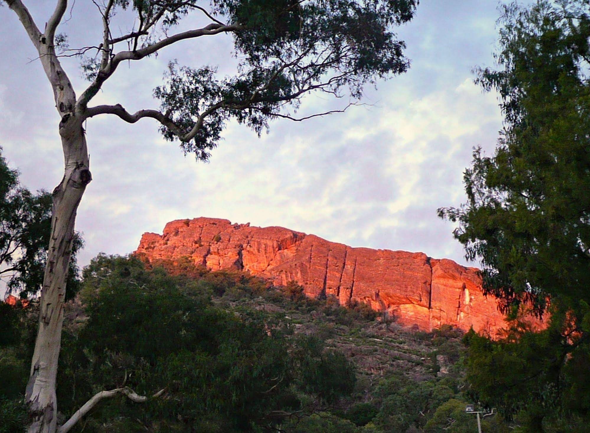 Pinnacle Holiday Lodge