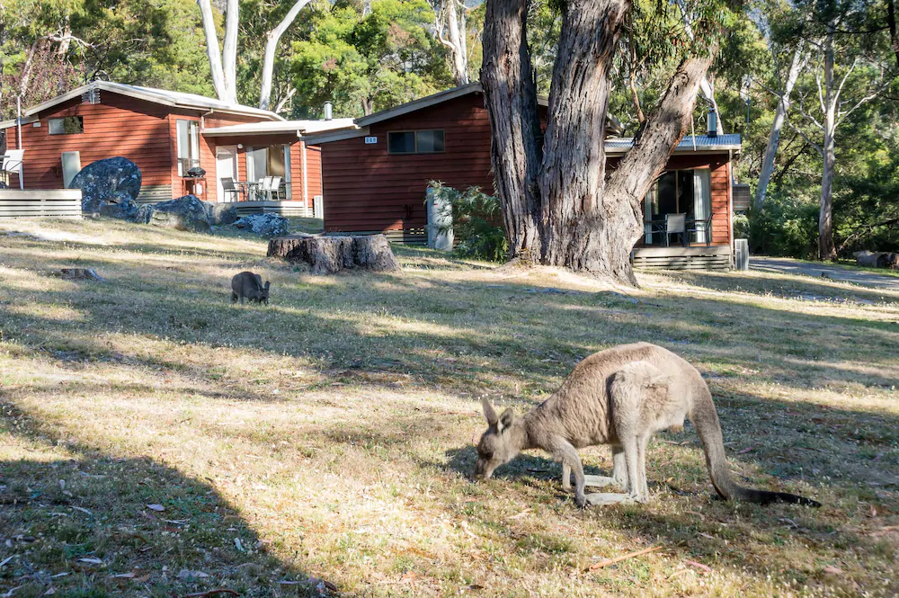 Wonderland Cottages