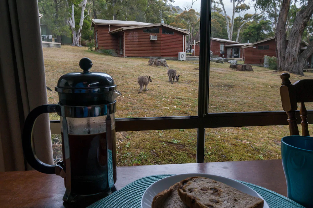 Wonderland Cottages