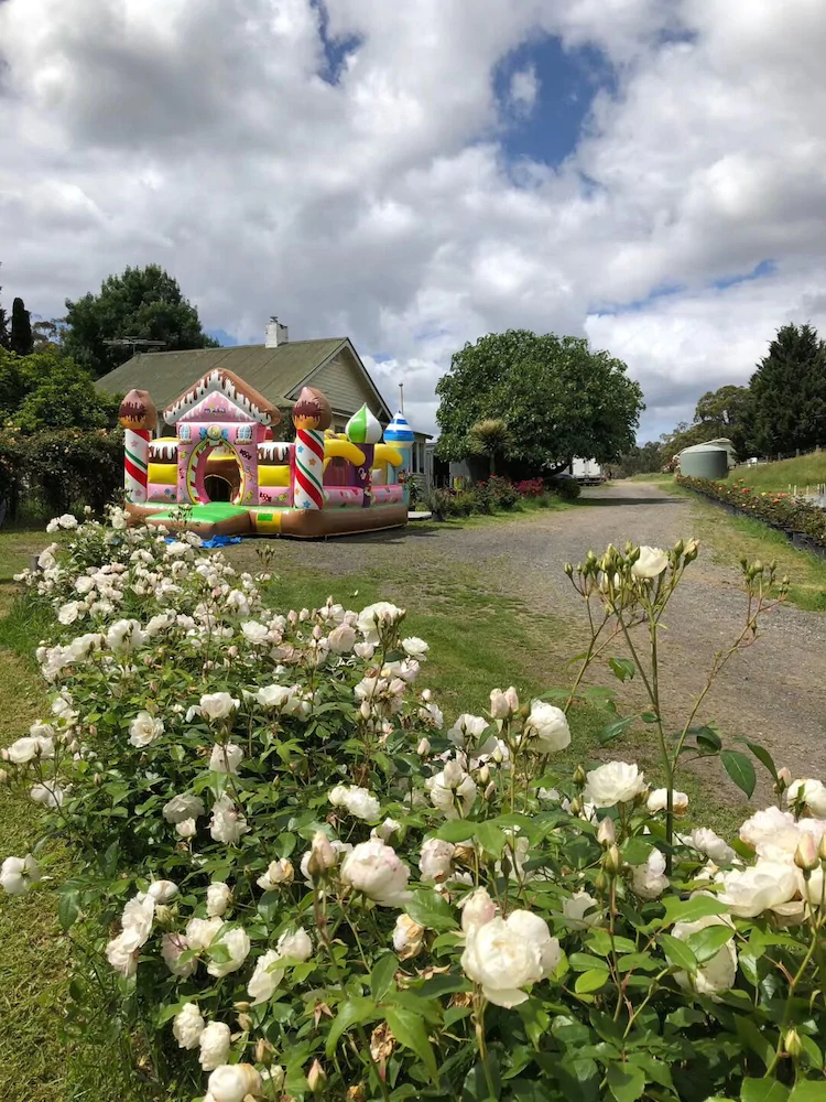 Golden Village Farm