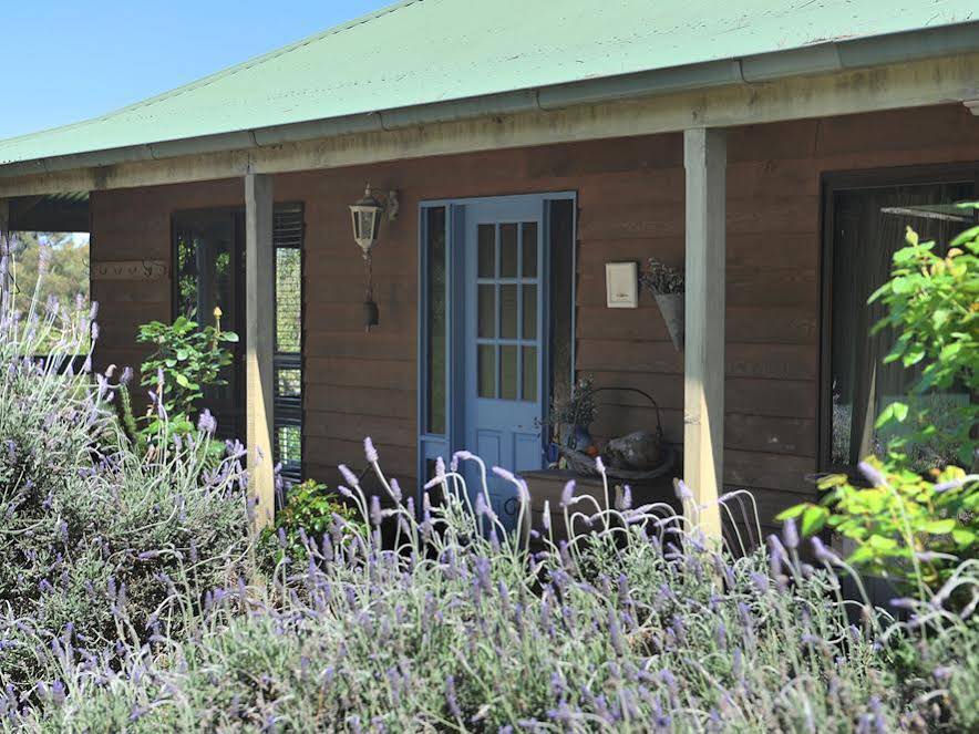 Lavender Farm Hotel