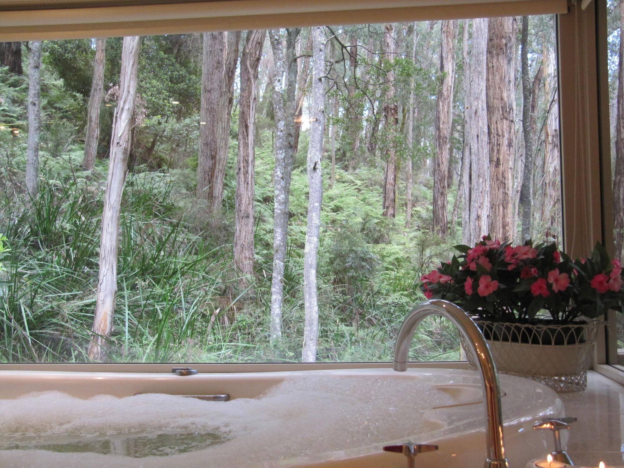 Myers Creek Cascades Luxury Cottages