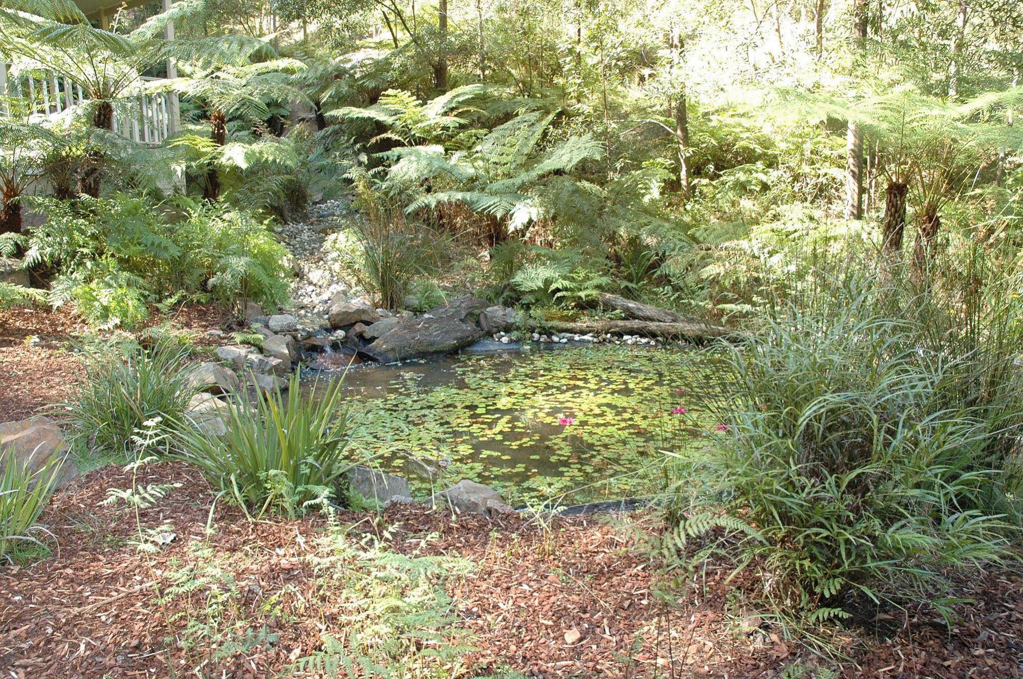 Myers Creek Cascades Luxury Cottages