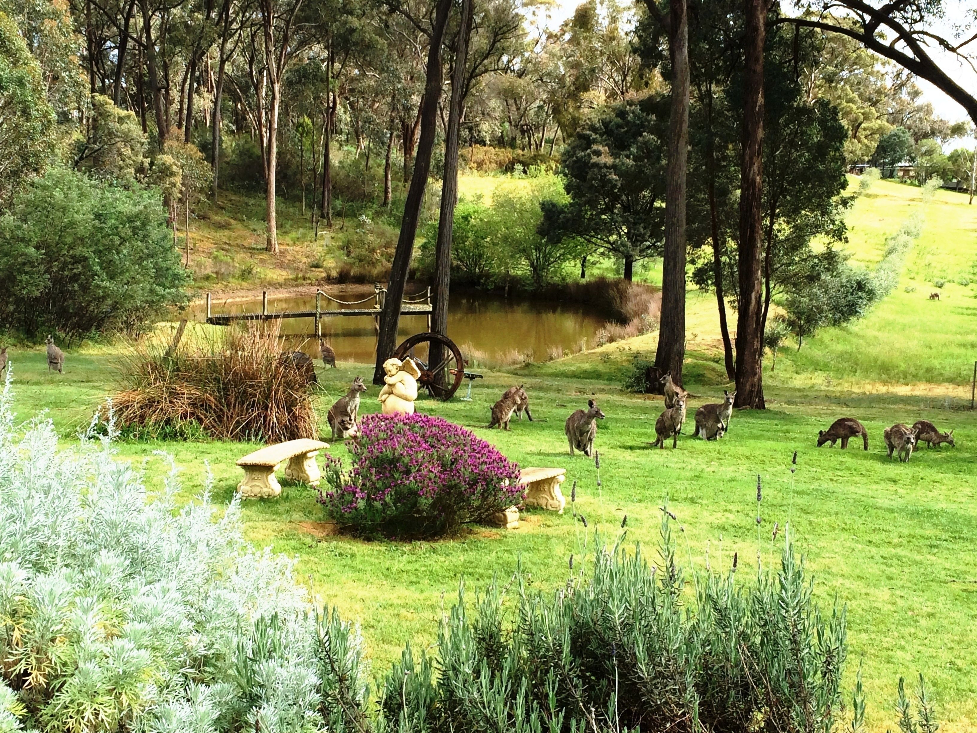 Countryside Retreat - Romantic Intimate Suite