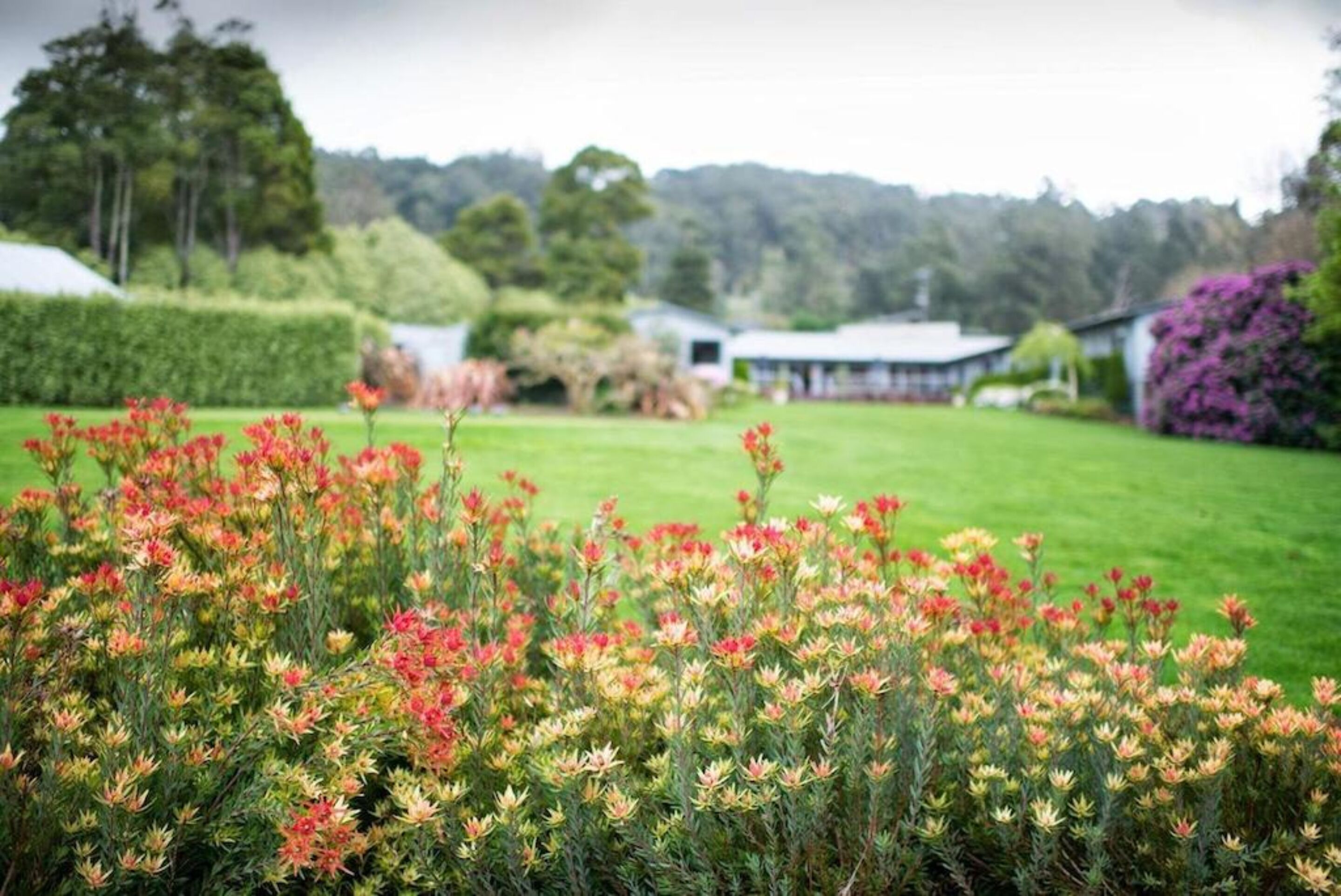 Country Place