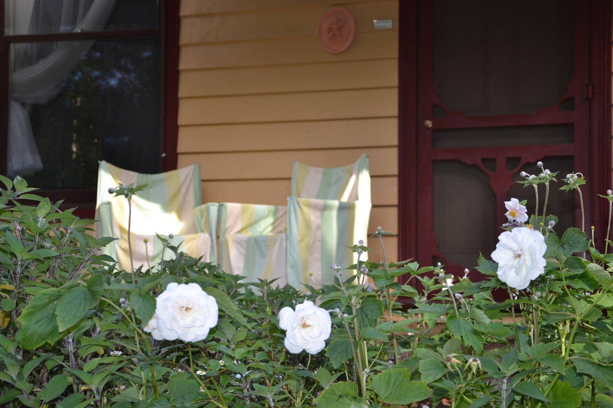 Lemonade Creek Cottages