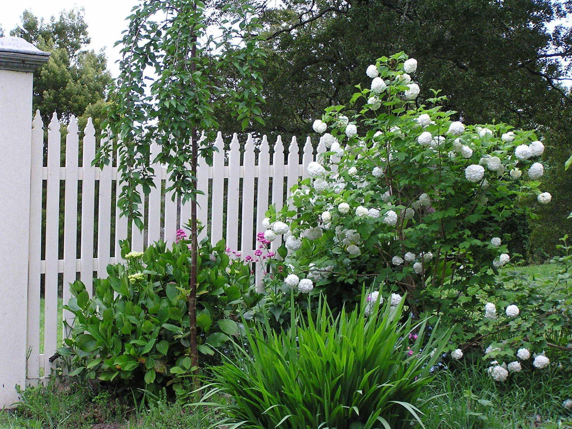 Lemonade Creek Cottages