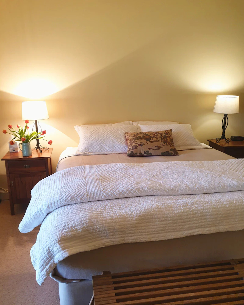 Byronsvale Vineyard & Accommodation