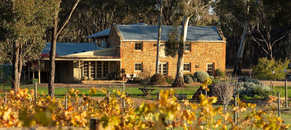 Byronsvale Vineyard & Accommodation