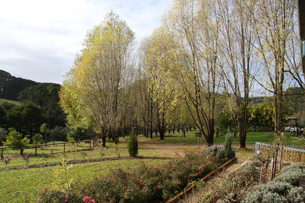 Summerhill Farm Bed & Breakfast