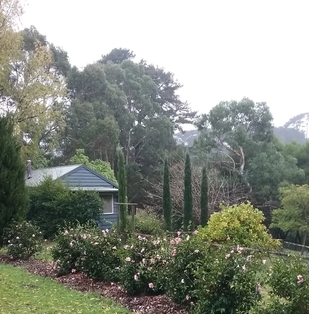 Summerhill Farm Bed & Breakfast