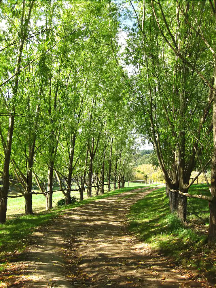 Summerhill Farm Bed & Breakfast