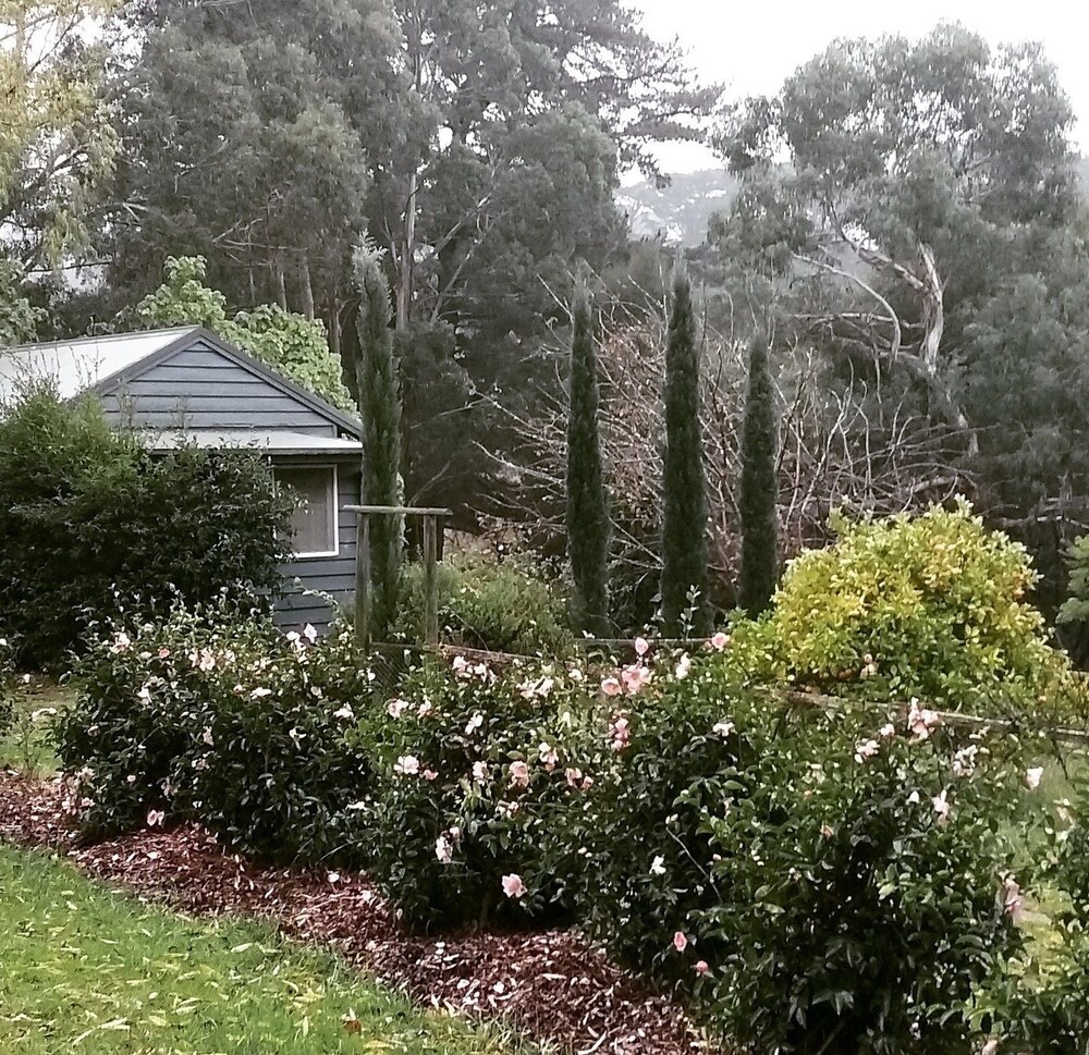Summerhill Farm Bed & Breakfast