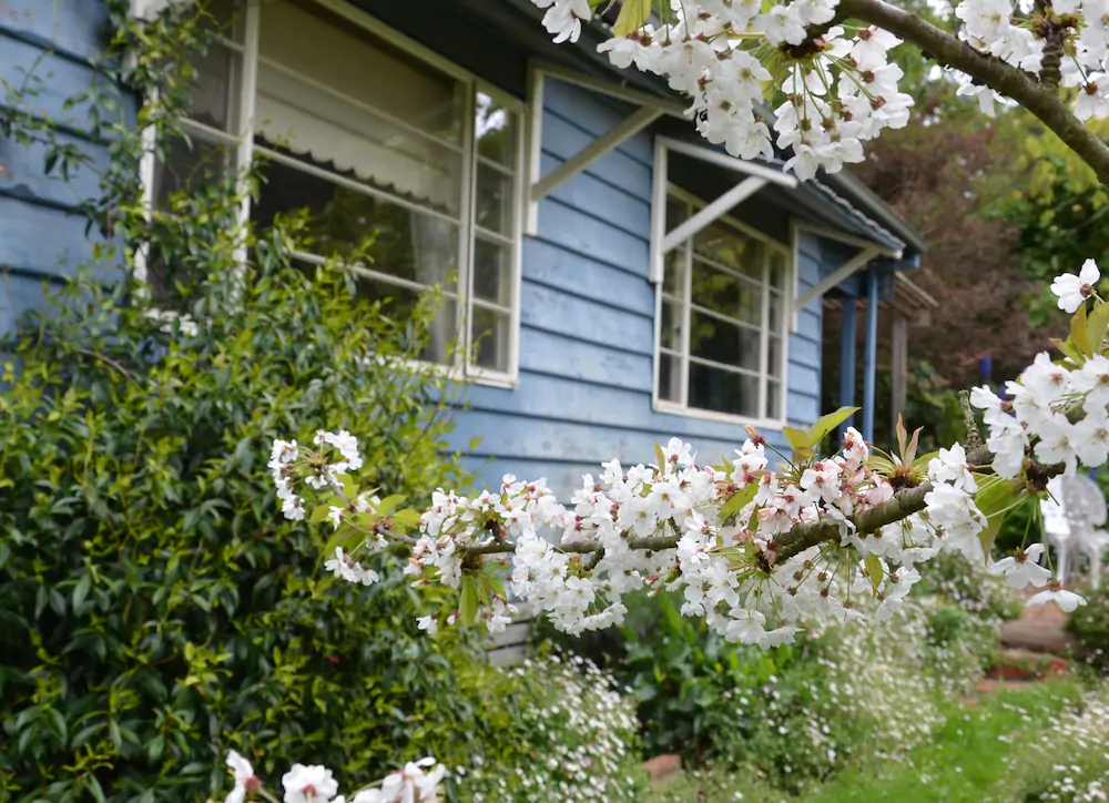 Summerhill Farm Bed & Breakfast