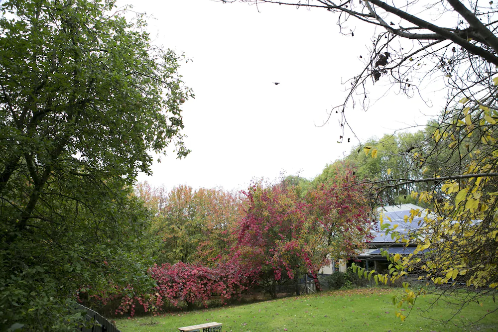 Summerhill Farm Bed & Breakfast