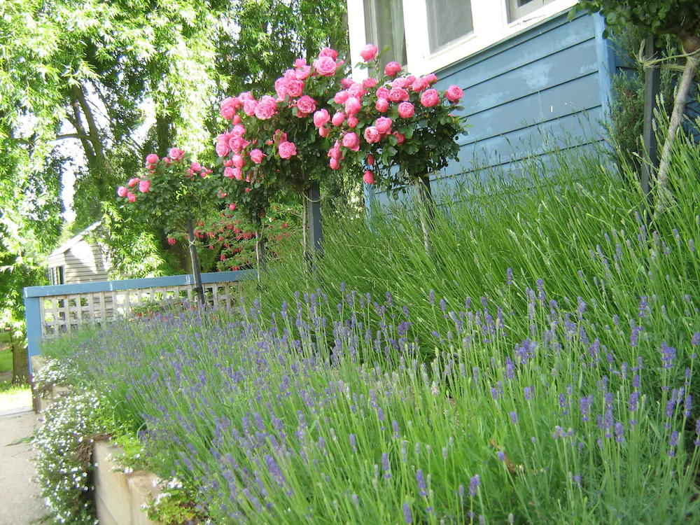 Summerhill Farm Bed & Breakfast