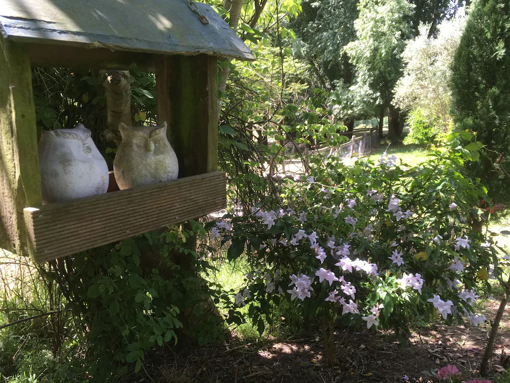 Summerhill Farm Bed & Breakfast