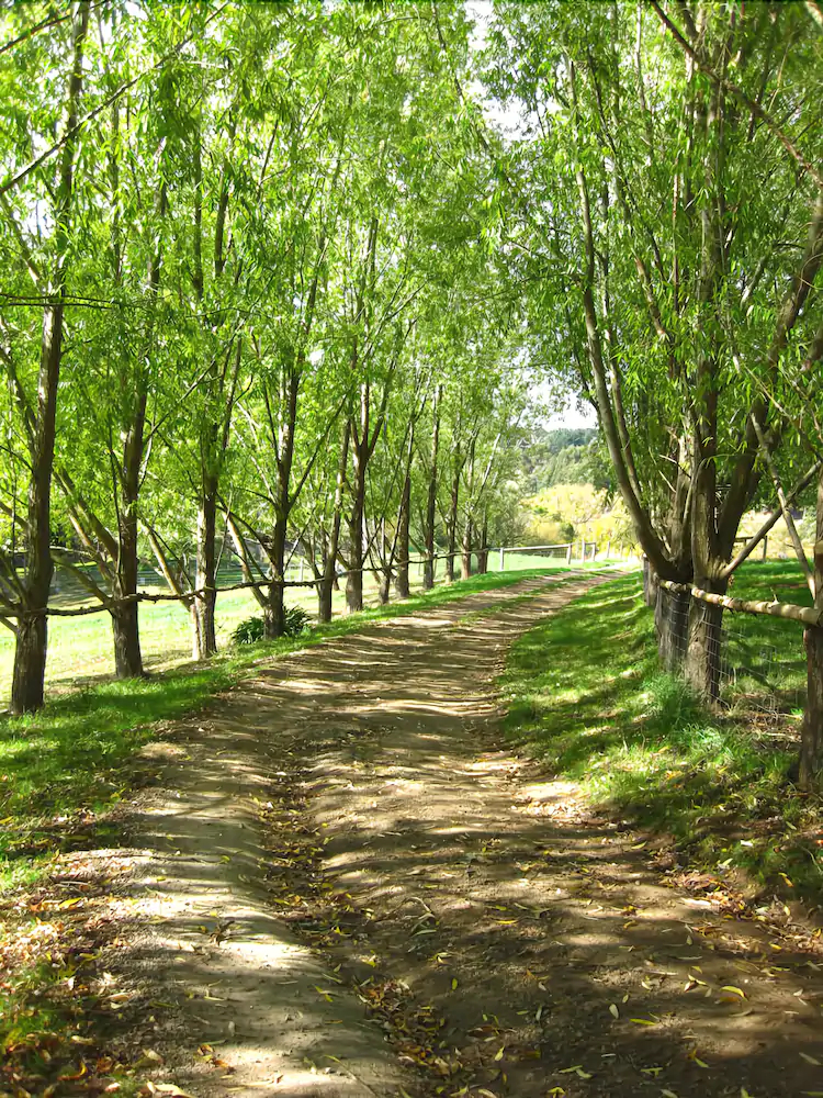Summerhill Farm Bed & Breakfast