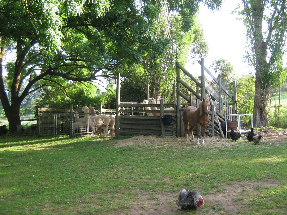Summerhill Farm Bed & Breakfast