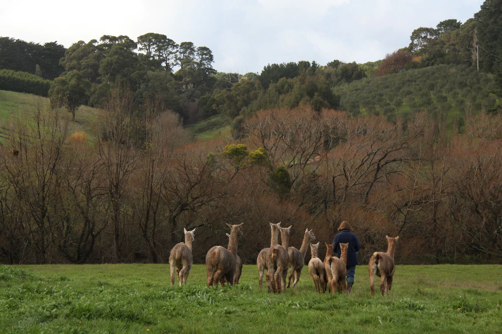 Summerhill Farm Bed & Breakfast